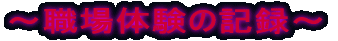 �z�ځ@������